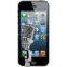 IPhone 5 Bottom Speaker Repair in Jinqiao, Pudong, Shanghai