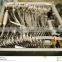 Finest quality of surgical Instruments
