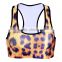 2015 Oeko Comfortable Quick Dry Breathable for women fitness wear Lady's Sports Bra S131-70