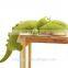 Wholesale Stuffed Plush Crocodile Toy