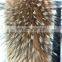 Natural Raccoon Large Fur Collar / fur Trim for Winter Coat/Parka winter