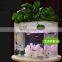 Aquarium USB acrylic Ecology fish tank LED small Home Decor
