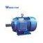 y Series Induction Ac Three Phase Electric Motor 140kw
