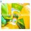 Factory Inflatable PVC Tarpaulin 5,4 x 5,3 x 3,4 m Jungle Animal Giraffe Combo Bouncer Jumper House for Kids