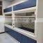 Good Quality OEM All Steel Gas Extractor Ductless Fume Hood for Chemistry