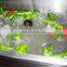 200kg capacity Air bubble cleaning machine/vegetable washing machine