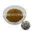 Best Price Pure Powder Turkesterone Ajuga Turkestanica Extract 2%