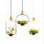 Creative Flower Pot Indoor Decorative Plant Ceiling Hanging Light Chandelier For Kitchen Restaurant Bar Plant Pendant Lamp