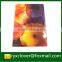 Factory derictly wholesale L shape a4 size file folder pp stationery