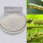 High quality agricultural pesticides for tomatos acetamiprid 70wdg Pest Control product