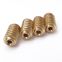 Custom Drawing Brass Worm Gear Wheel Small Worm Electric Motor