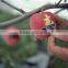 Fruit growing protection paper bag