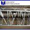 cow farm equipment cow and gate cattle livestock cattle panels cattle headlock