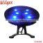 Newest CE & ROHS Approved LED Underwater Light