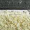 Bread Crumbs Making Plant Equipment Extruder Machine