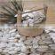 shine skin pumpkin seeds saffron seeds wholesale foam pumpkins