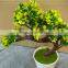 Home Decoration Use NEW Mini Novel Ceramic Porcelain Bonsai Grass Doll Hair Plant Head Planter Gift