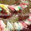 Bulk Diy Tissue Tassel Garland Elegant Diy Tassel Garland
