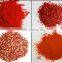 SS304 WF Series Pharmaceutical and Chemical Powder Dust Collecting Fine Crushing Set