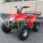 Hot selling CE ATV,Quad bike,110cc,125cc