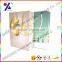 CHRISTMAS GIFT PAPER BAG / LEGEND LPACKAGING BAG FOR CHRISTMAS / NOVELTY GIFT BAG WITH MAGICAL PRINTING / FREE SAMPLE / OEM