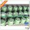Corrosion proof guanzhou custom & OEM made Forged Steel Pipe Fittings