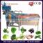QX-3-600 Small Size home fruit and vegetable washing machine(Promotion)