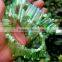 Green aura of titanium coating on quartz crystal necklace for healing