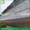 Arch roof type PC greenhouse cheap greenhouse greenhouse manufacturers