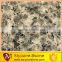 Charming high quality hot sale leopard granite tile