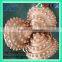 Rock Drill Bits/tricone Bits/API Low Price Bit