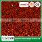 Cheap sport grass carpet,artificial lawn grass for big sports stadium