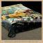 Manufactory walmart  china home textile wholesale  the blanket