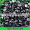 Various shapes Metal Germanium Sheet in OEM services