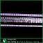SK6812 led strip 60 pixels