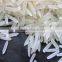 Best Quality Basmati Rice
