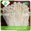 Edible fresh enoki mushrooms