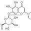 HPLC 85%, 90% Baicalin from 100% Natural Scutellaria Baicalensis Extract