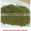 Free Sample Instant Matcha Green Tea Powder USDA Certified