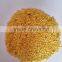 China manufacturer supplying High Purity NO Stone Neat and Clean Spicy Hot Red Chilli Seeds With FTA, Healthy, Phytosantary Cer