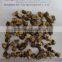 100% Natural burdock cut Tea Bag Cut F/C Fine Cut,T/B,Medium Cut, Coause Cut C/C,Extraction Cut EX