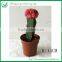 Wholesale Cactus Trees