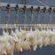 chicken abattoir house slaughter equipment 008618052092685