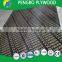 18mm Packing plywood/consturction plywood/furniture plywood sheet