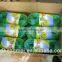 100% BEIGE Virgin Antihail net/HDPE bird Net