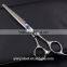 Hair cutting scissors salon & spa equipment shears Double Hook 6.0" Finger Rest