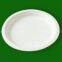 7 inch paper plate