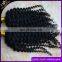 8a Unprocessed Raw Virgin Human Hair Braiding Bulk 100% Undye Hair No Weft Bulk Human Braiding Hair Can Bleach To Blond Color