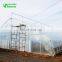 Top Quality Tunnel Plastic Greenhouse Film Agriculture