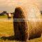 Pallet Wrapping Net / Bale Net Wrap / Bundle of grass net